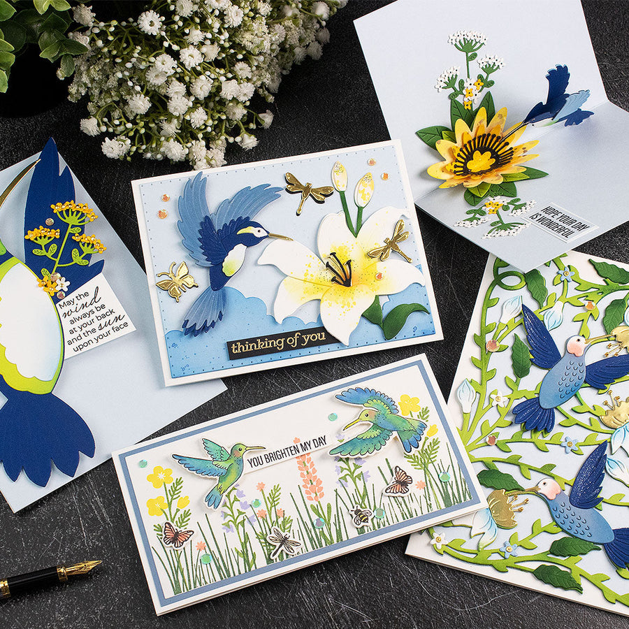 Bibi’s Hummingbirds Collection Introduction