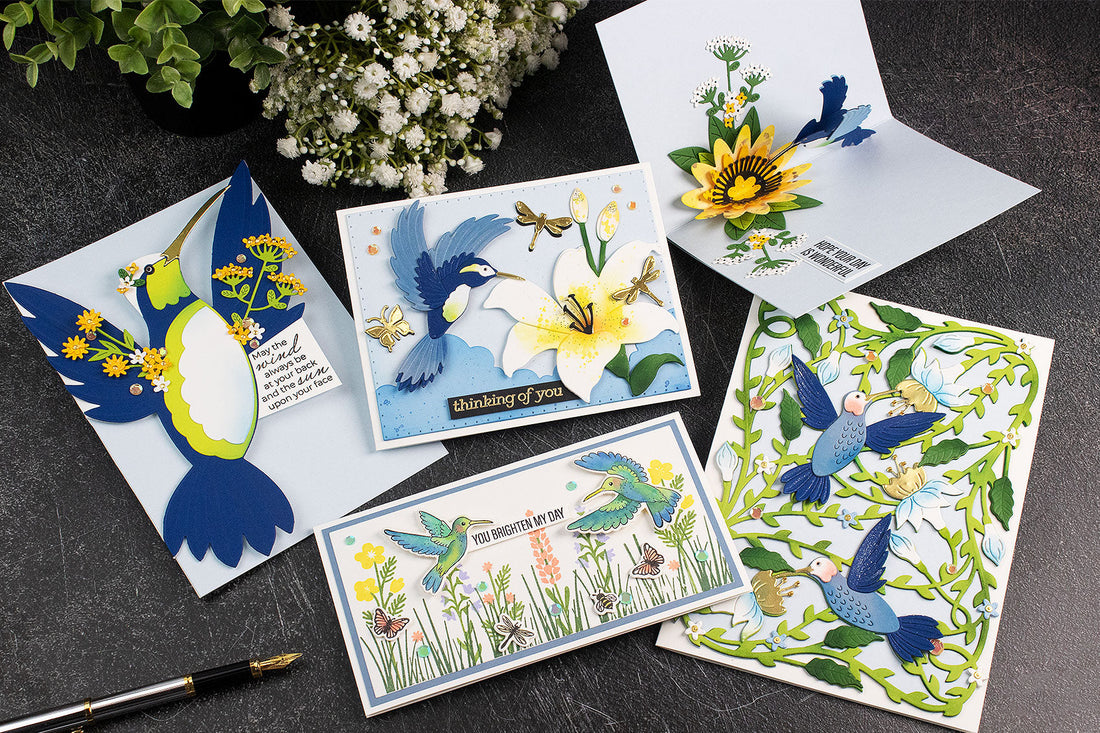 Bibi’s Hummingbirds Collection Introduction