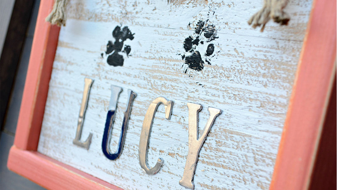 How To Make A Darling Paw Print Home Decor Sign
