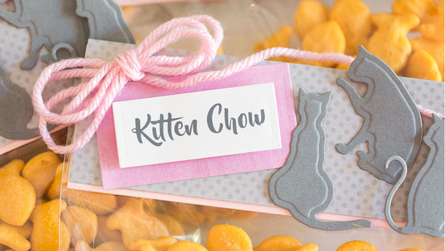 Video: Kitty Purr-fect Party Favor Bags