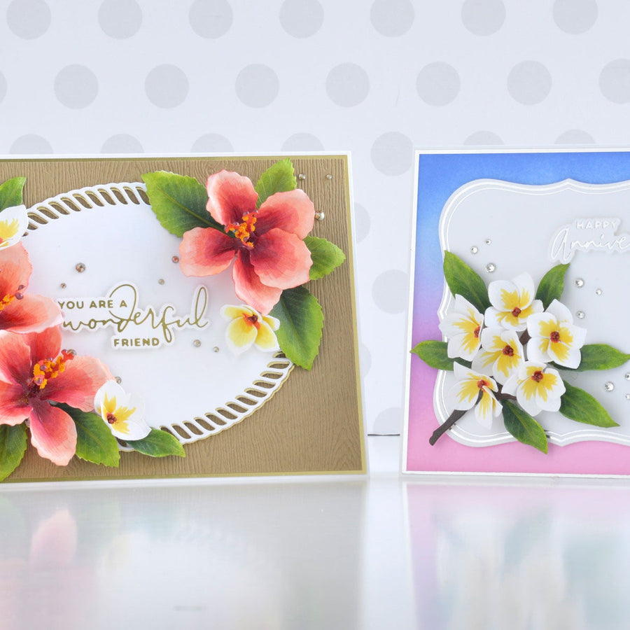 Susan’s Tropical Getaway Collection – Card Inspiration with Annie Williams