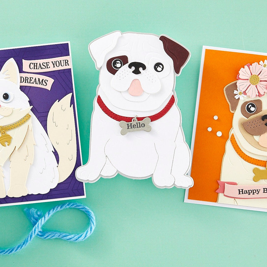 Introducing The Cats and Pugs Collection
