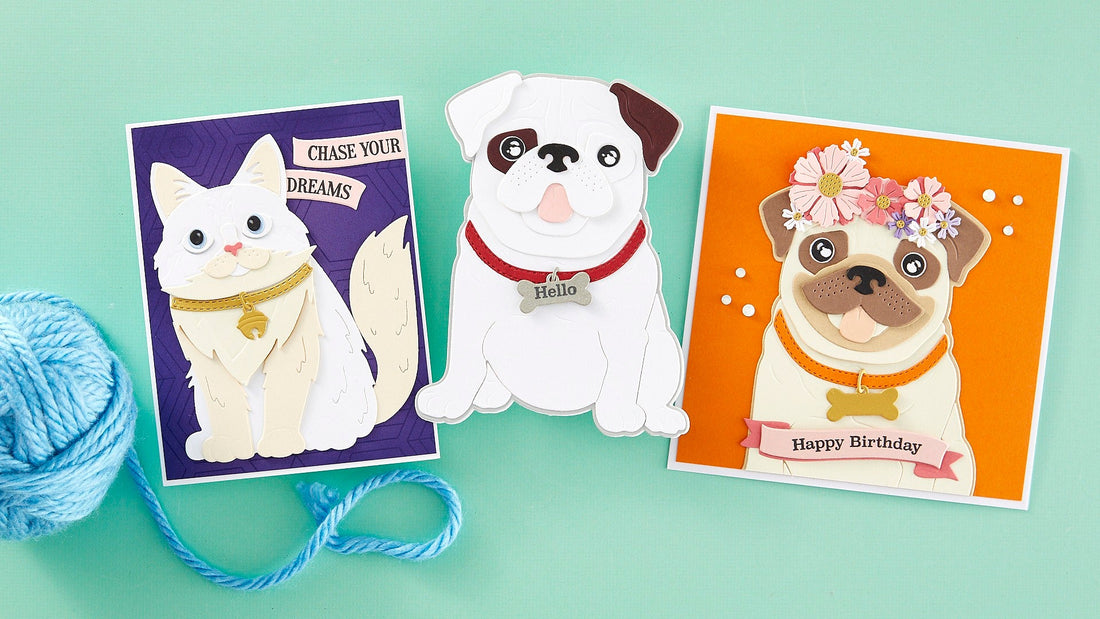 Introducing The Cats and Pugs Collection