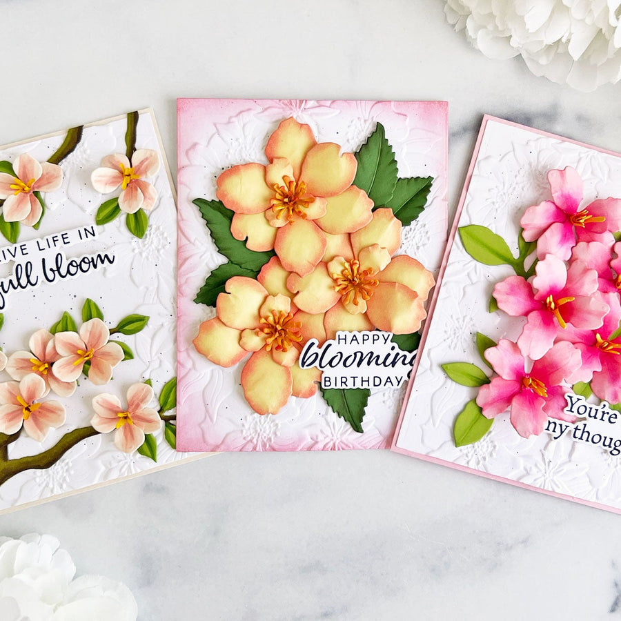 Nature’s Botanicals Collection Three Ways