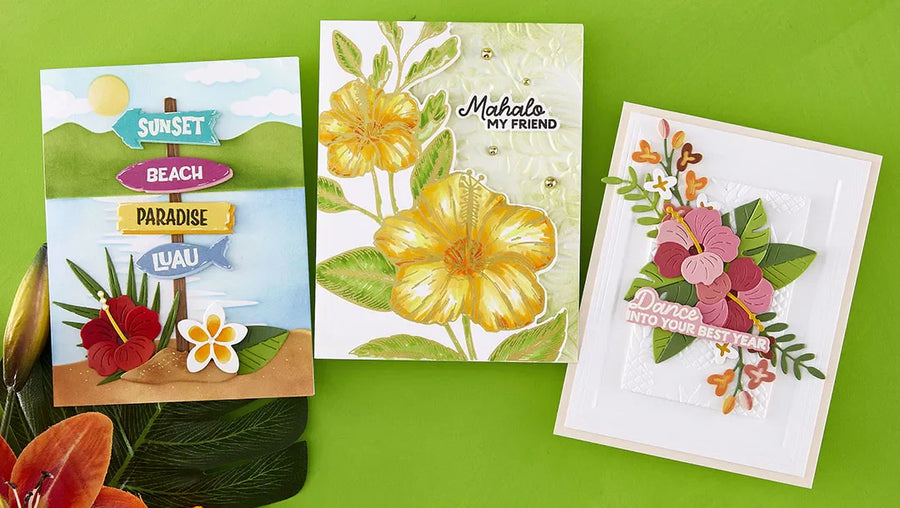 June 2026 Clear Stamp + Die of the Month Preview & Tutorials – This Way To Rainbows