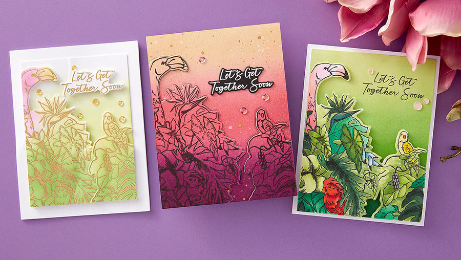 May 2024 Clear Stamp + Die of the Month Preview & Tutorials – Let's Get Together
