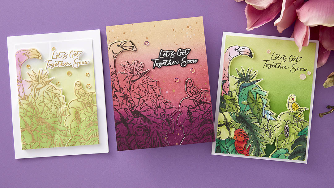 May 2024 Clear Stamp + Die of the Month Preview & Tutorials – Let's Get Together