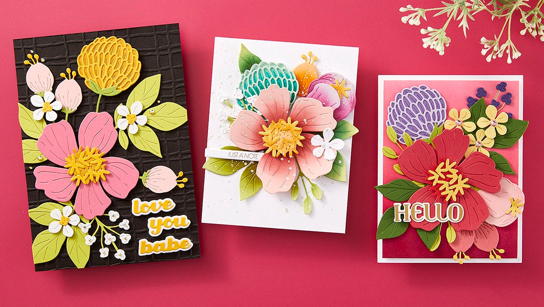 August 2024 Large Die of the Month Preview & Tutorials – Colorful Expressions Blooms