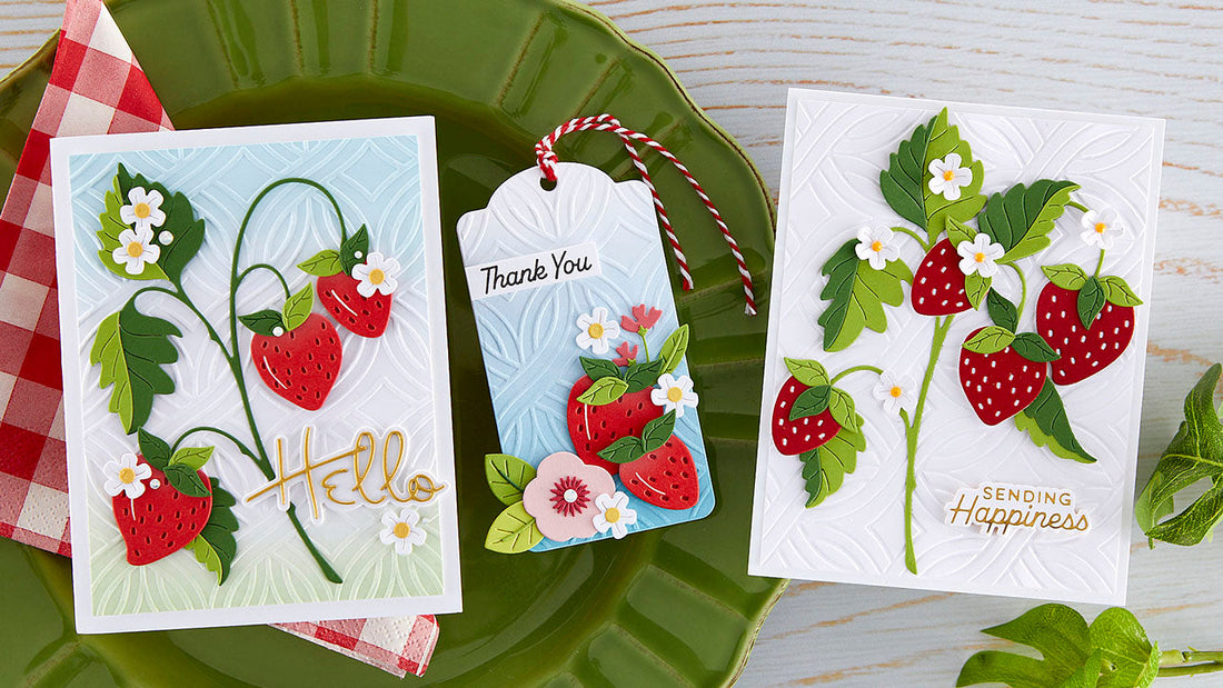 August 2022 Embossing Folder of the Month Preview & Tutorials – Intertwined Lattice