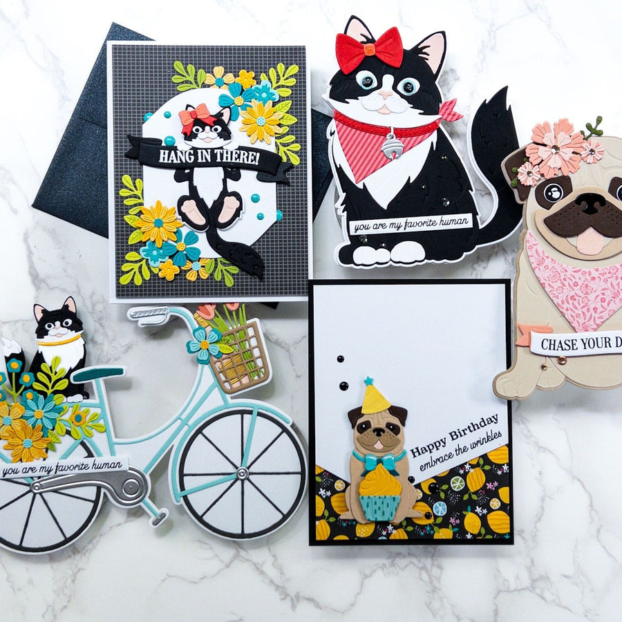 It’s Raining Pugs and Cats