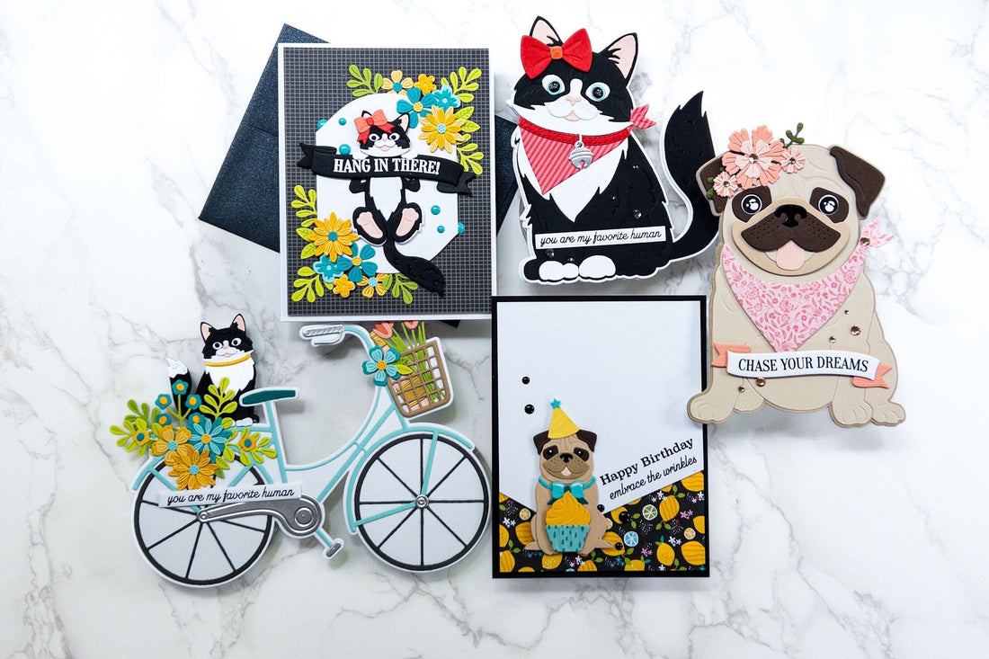 It’s Raining Pugs and Cats