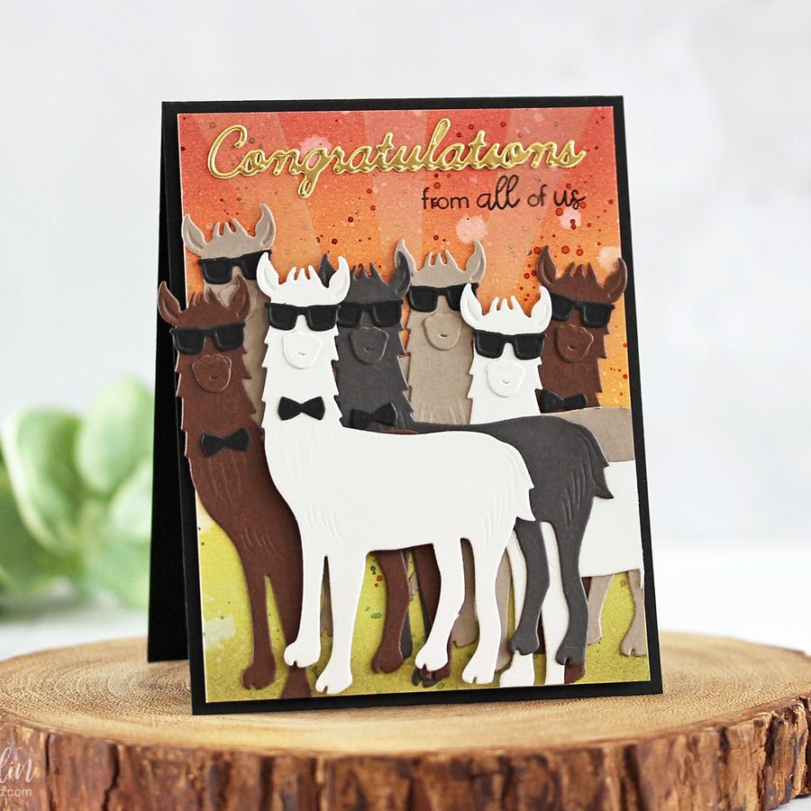 Die D-Lites Inspiration | Hip Llama Card with Laurie