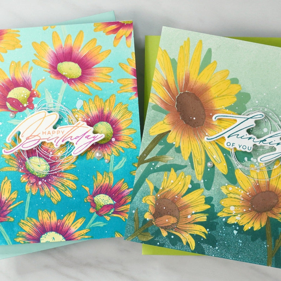 Delicate Duo: Capturing the Charm of Daisies