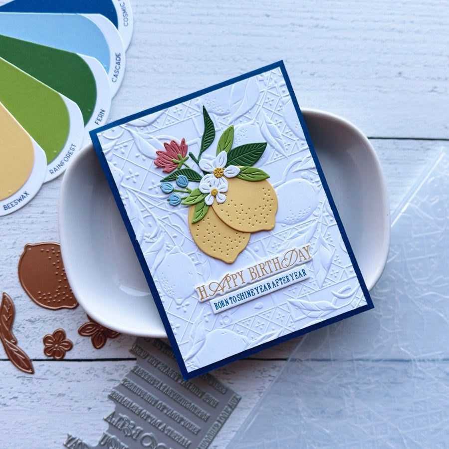 Step by Step Tutorial: Create a Birthday Card with a 3D Embossing Folder Background