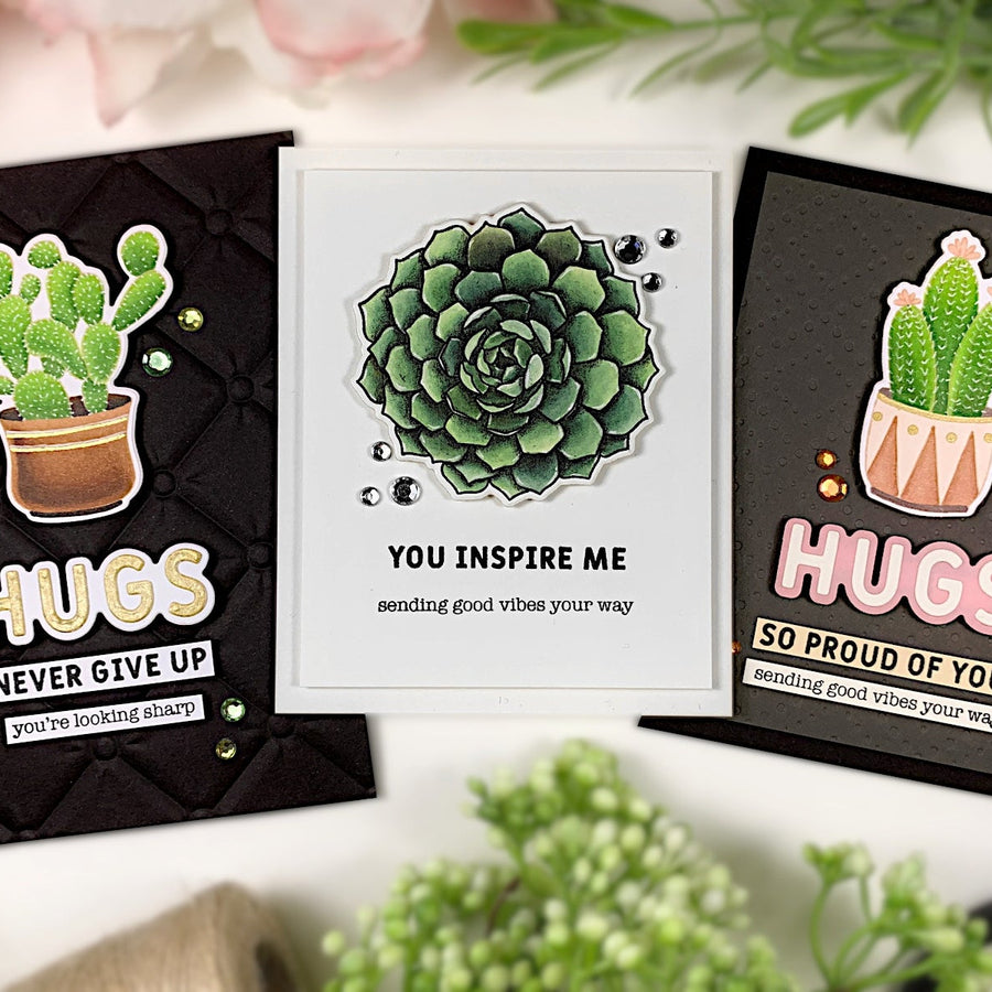 Simon Hurley’s Succulents with Jennifer Rustioni