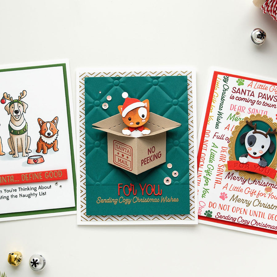 Santa Paws Unboxing 3 Ways with Jung