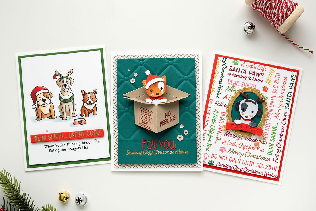 Santa Paws Unboxing 3 Ways with Jung