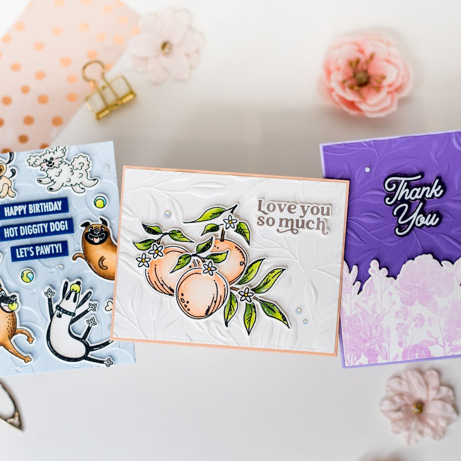 Card Assortment Featuring the New Simon Hurley Collection with Leica Palma