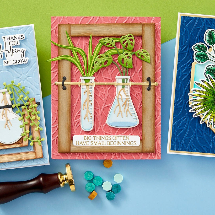 Propagation Garden Collection Introduction with Annie Williams