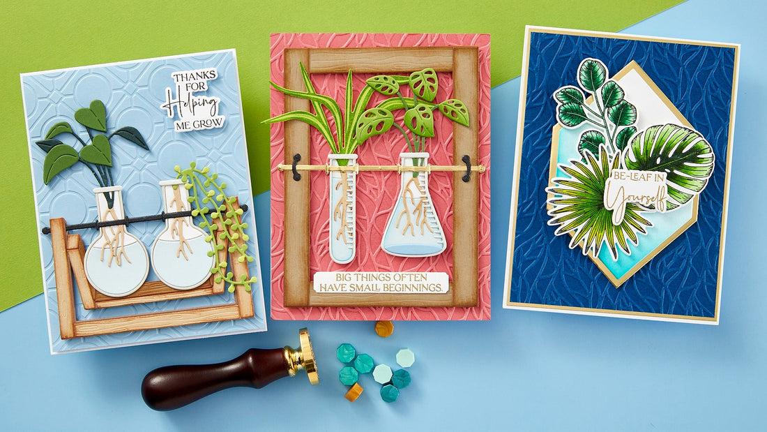 Propagation Garden Collection Introduction with Annie Williams