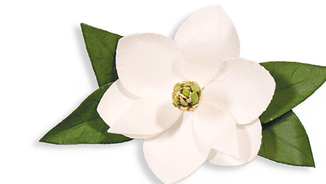 The "How-To" on Create A Flower Series: S2-196 Magnolia