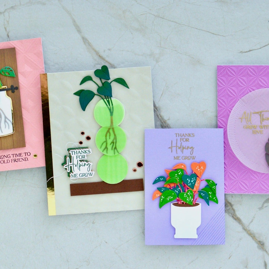 Multiple Paper Propagation Stations using the Propagation Garden Collection
