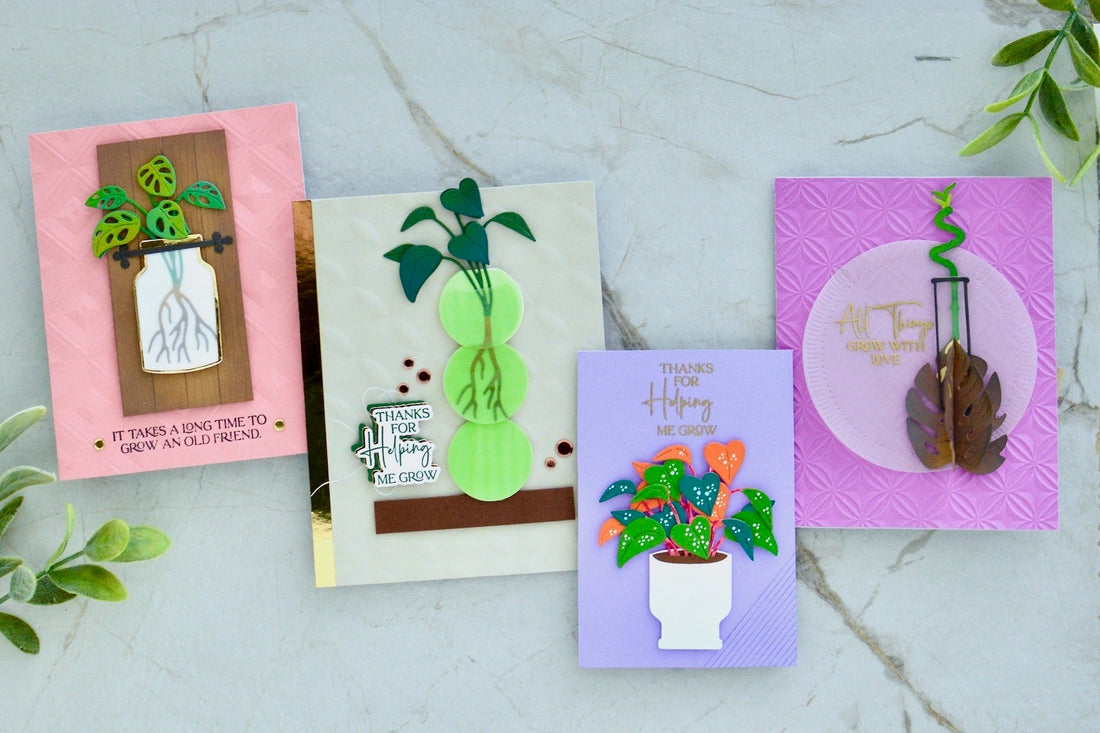 Multiple Paper Propagation Stations using the Propagation Garden Collection