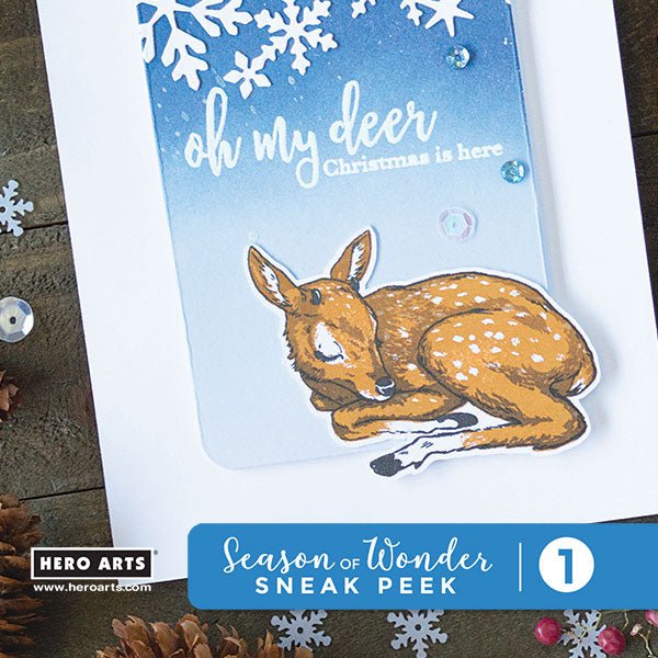 Season of Wonder Sneak Peek #1 + Giveaway - Hero Arts