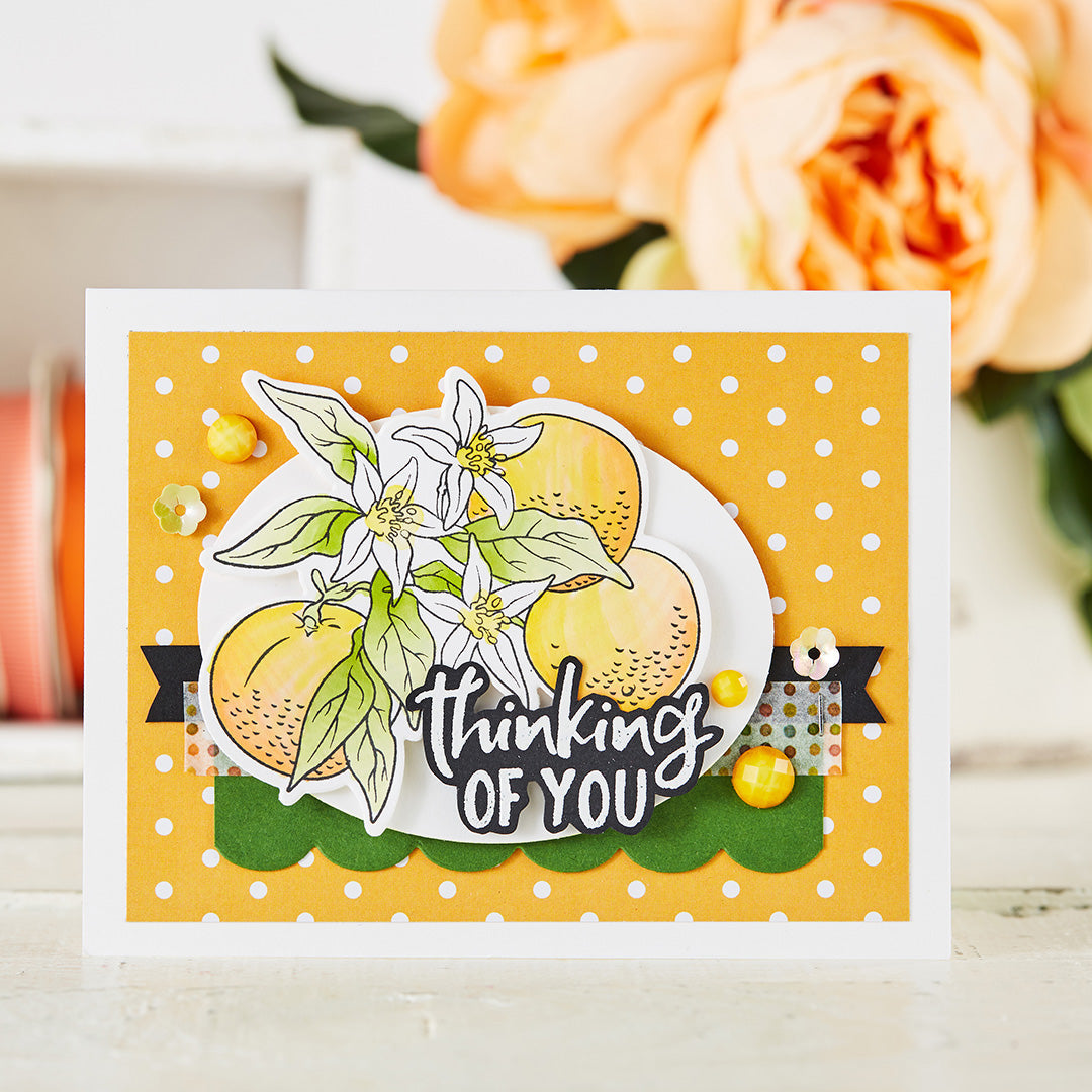 February 2019 Stamp of the Month is Here – Orange Blossoms