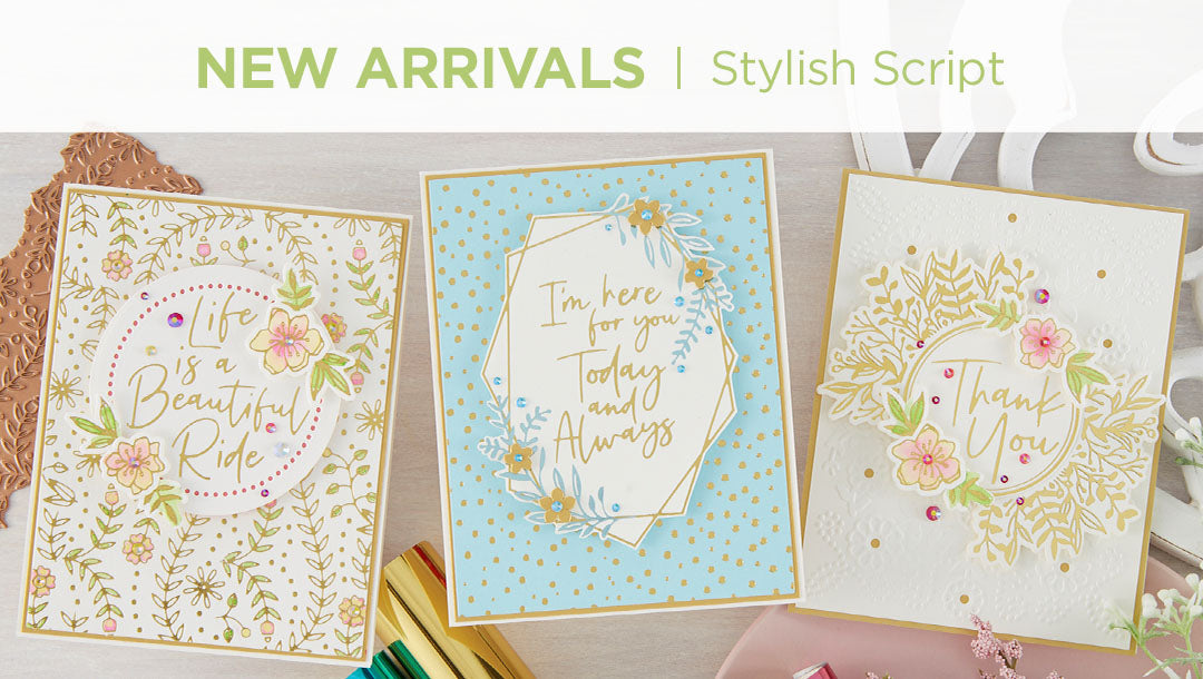 What’s New | Stylish Script Collection