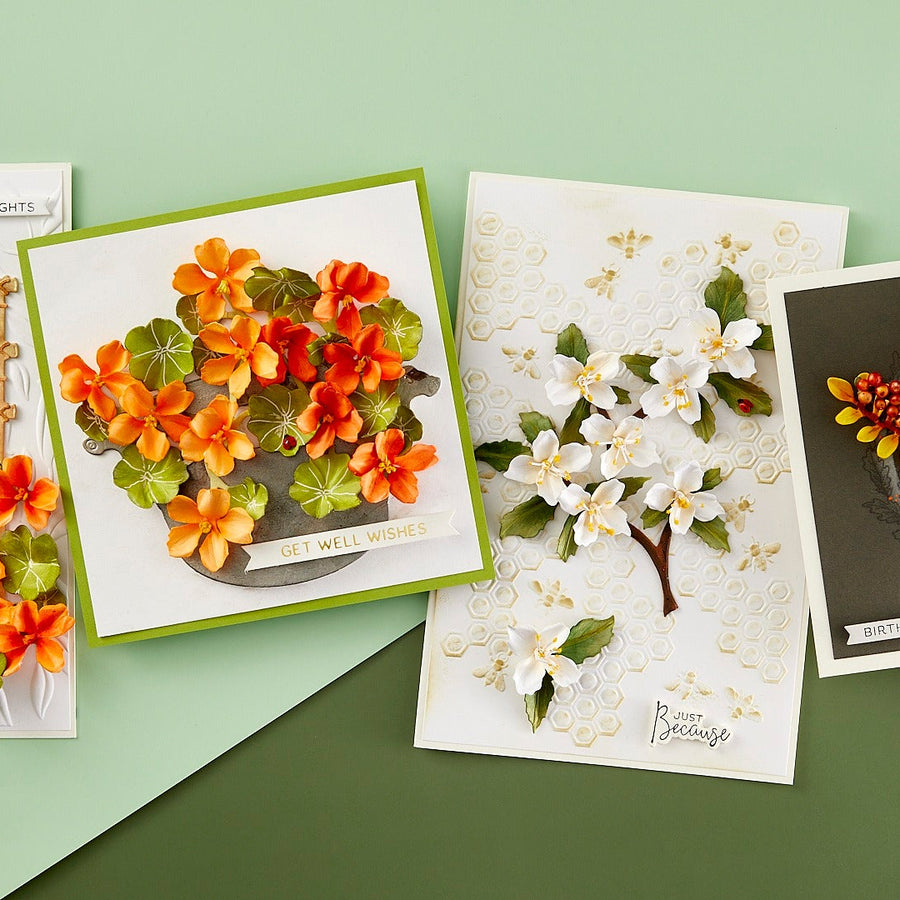 Through the Arbor Collection Introduction with Susan Tierney-Cockburn