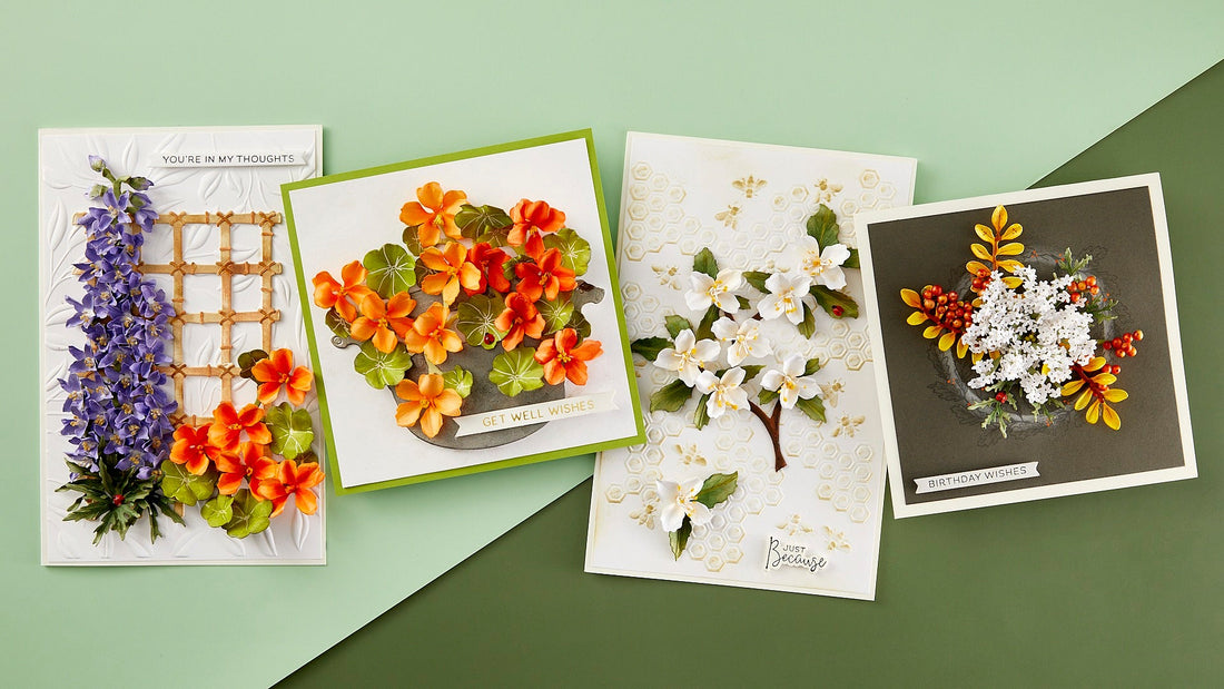 Through the Arbor Collection Introduction with Susan Tierney-Cockburn