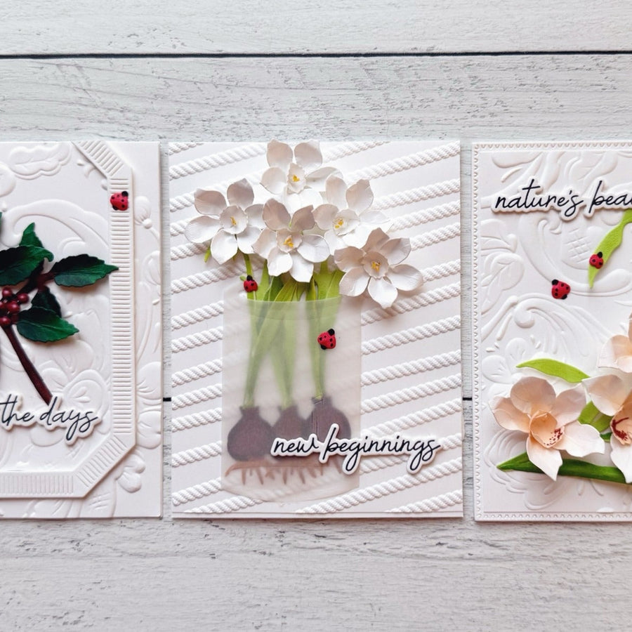 Dimensional Flowers with Clean and Simple Backgrounds