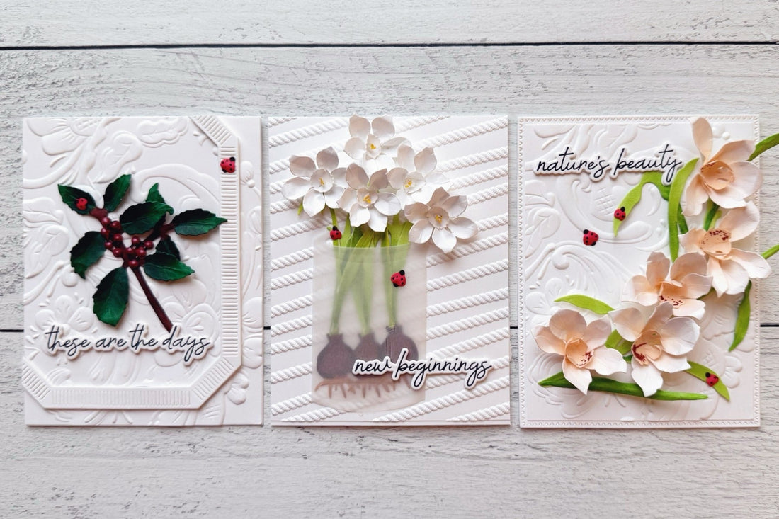 Dimensional Flowers with Clean and Simple Backgrounds