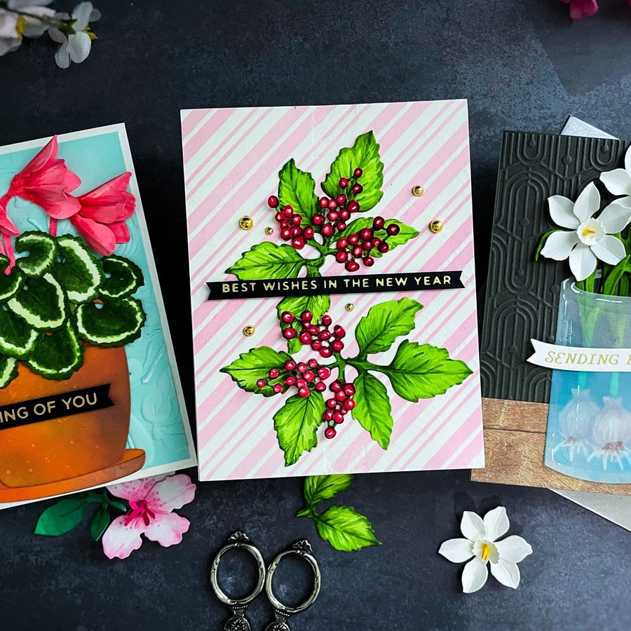 Trio Cards Featuring the Winter’s Grace Garden Collection