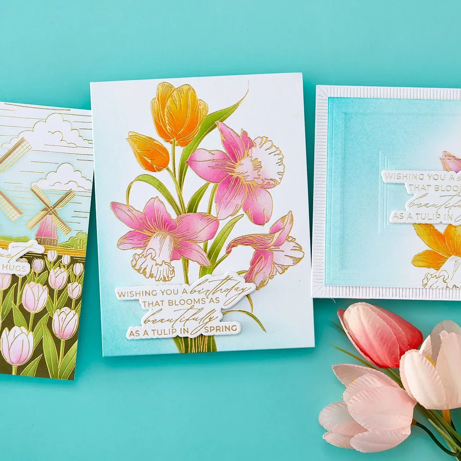 Yana's Tulips Collection Introduction with Yana Smakula