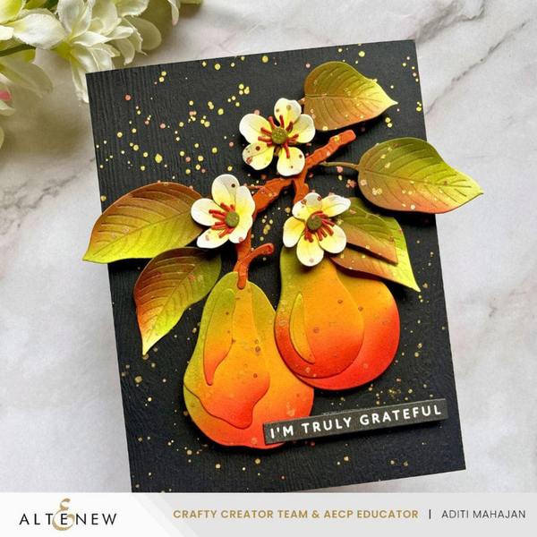 Altenew - One-Go: Solid Sentiment Strips 3 Press Plate (Gratitude Edition)