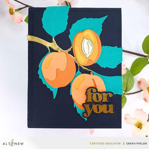 Altenew - Versatile Greetings 3 (Comfort Edition)