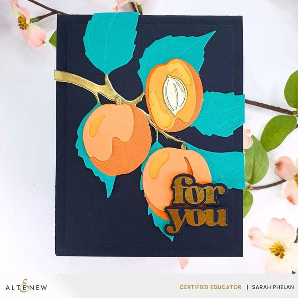 Altenew - Versatile Greetings 3 (Comfort Edition)