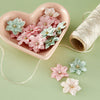 Prima Buttons & Keepsakes by Frank Garcia Delicate Trimmings Dimensional Flowers