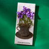 Spiderwort Etched Dies by Susan Tierney-Cockburn