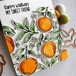Sketched Citrus Clear Stamp and Die Set  by Simon Hurley