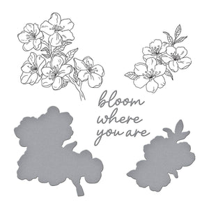 Cherry Blossoms BetterPress Plate & Die Set by Alex Syberia Designs