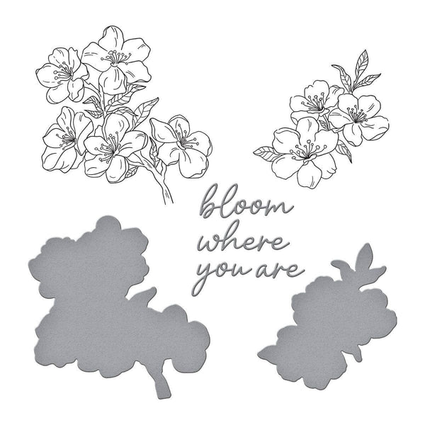 Cherry Blossoms BetterPress Plate & Die Set by Alex Syberia Designs