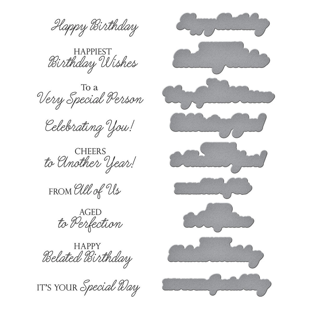 Birthday Wishes Sentiments BetterPress Plate & Die Set by Suzanne Hue