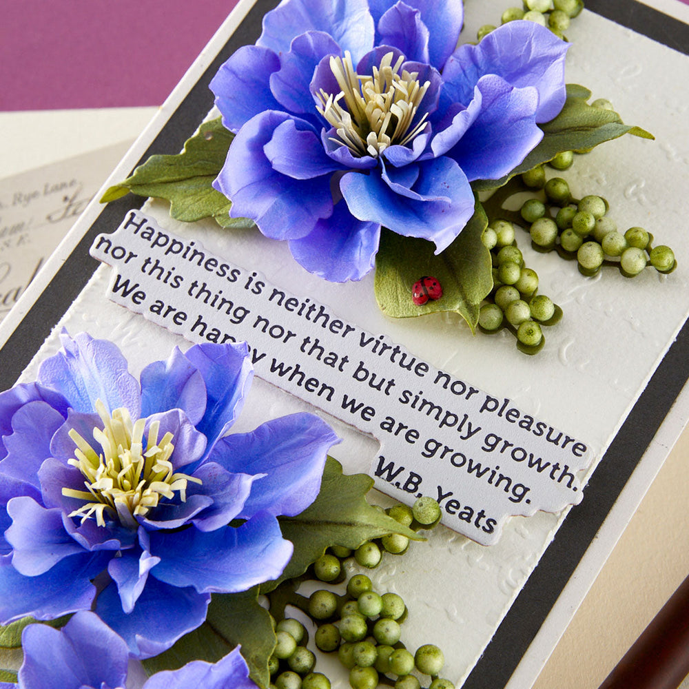 The Poet's Garden Sentiments Press + Foil Plate & Die Set by Susan Tierney-Cockburn