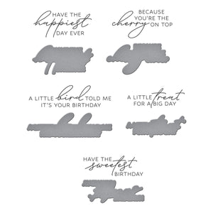 Fountain Wishes Sentiments BetterPress Plate & Die Set