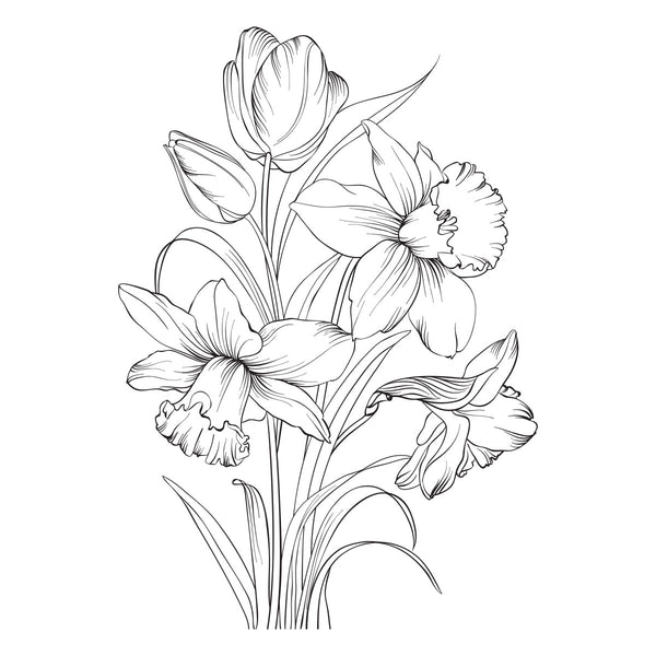 Yana's Tulips I Want It All! Bundle by Yana Smakula