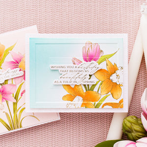 Yana's Tulips I Want It All! Bundle by Yana Smakula