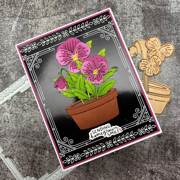 Seed Co. Border - Press & Foil Plate of the Month